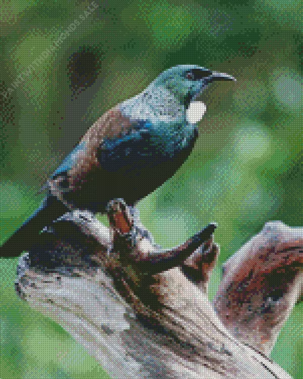 Tui bird on a tree Diamond By Numbers Tui Bird On A Tree Diamond Painting