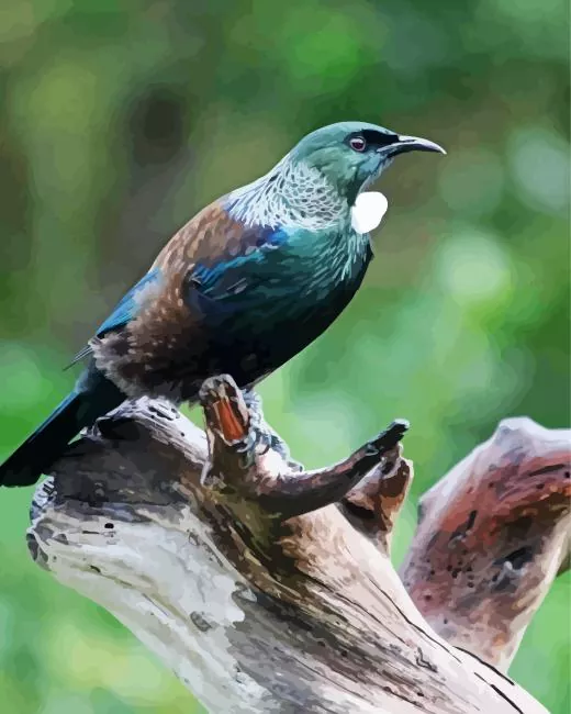 Tui bird on a tree Diamond Paints Tui Bird On A Tree Diamond Painting