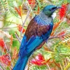Tui Bird On Tree Branches Diamond Painting