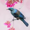 Tui Bird With Pink Flowers Diamond Painting