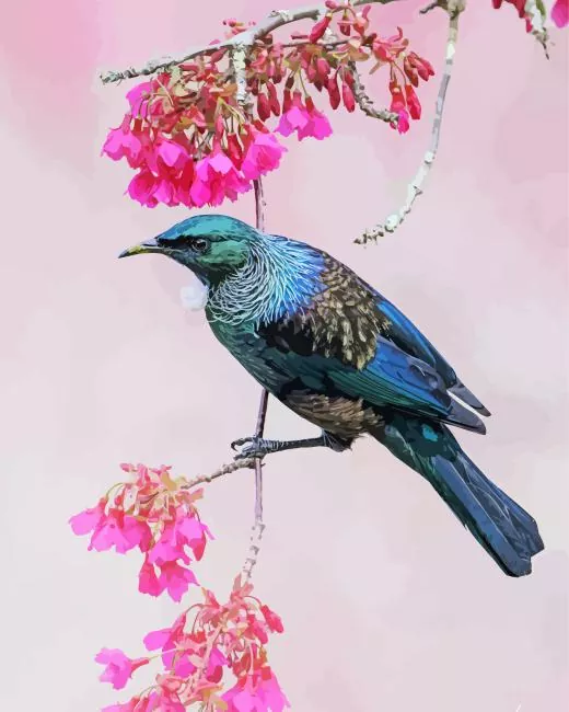Tui bird with pink flowers Diamond Paints Tui Bird With Pink Flowers Diamond Painting