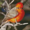 Vermilion Flycatcher Bird Diamond Painting
