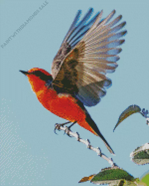 Vermilion Flycatcher flapping wings Diamond By Numbers