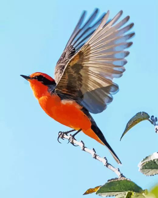Vermilion Flycatcher flapping wings Diamond Paints Vermilion Flycatcher Flapping Wings Diamond Painting