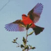 Vermilion Flycatcher Flying Diamond Painting