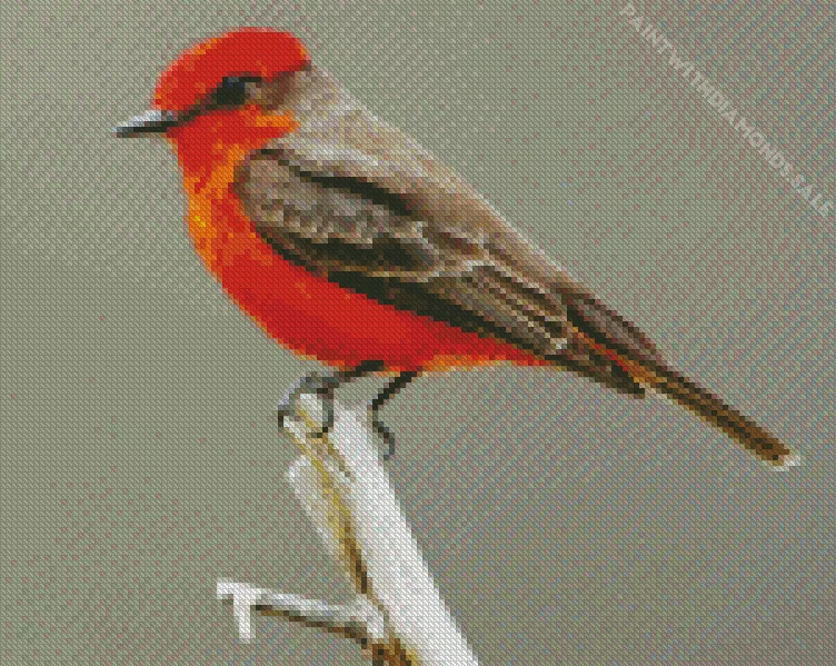 Vermilion Flycatcher on a branch Diamond By Numbers Vermilion Flycatcher On A Branch Diamond Painting