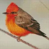 Vermilion Flycatcher On A Wire Diamond Painting