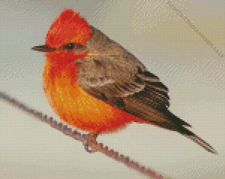 Vermilion Flycatcher on a wire Diamond By Numbers Vermilion Flycatcher On A Wire Diamond Painting