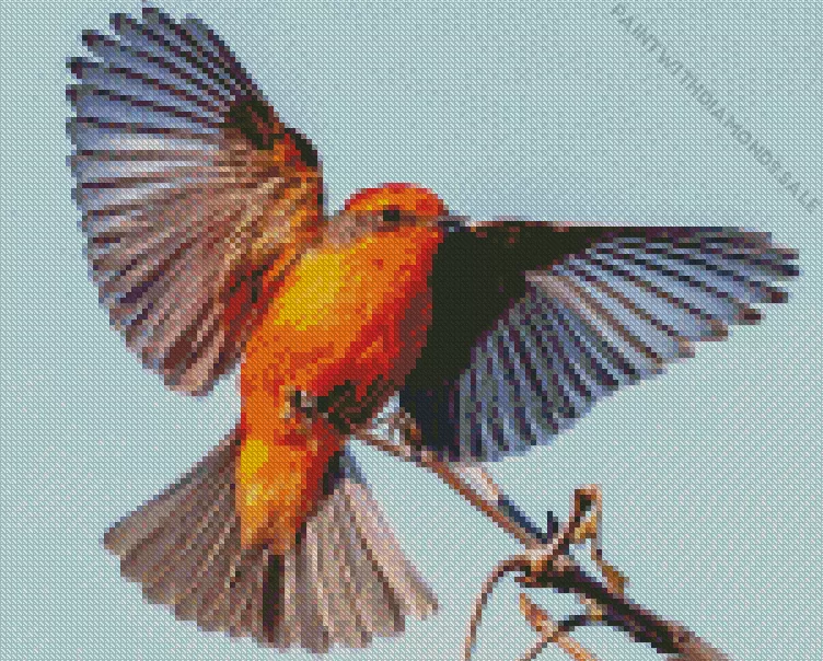 Vermilion Flycatcher with big wings Diamond By Numbers Vermilion Flycatcher With Big Wings Diamond Painting