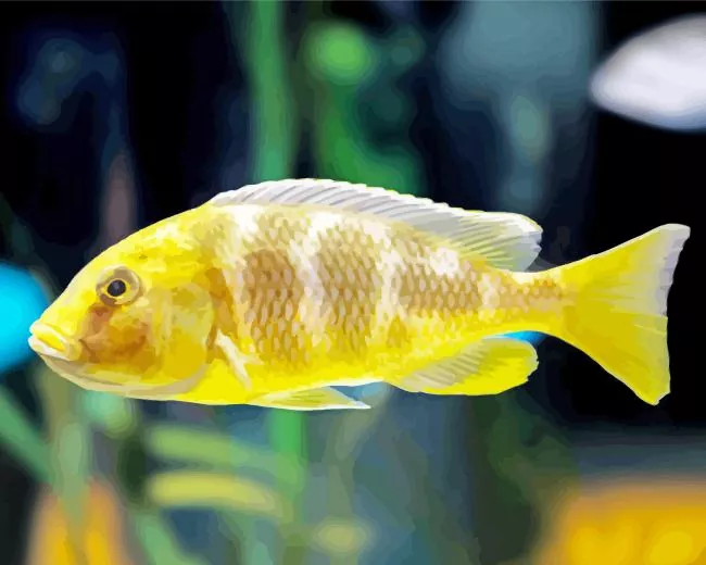 Vibrant yellow cichlid fish Diamond Paints Vibrant Yellow Cichlid Fish Diamond Painting