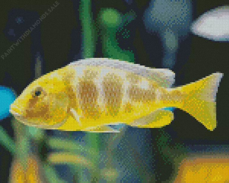 Vibrant yellow cichlid fish Diamond With Numbers Vibrant Yellow Cichlid Fish Diamond Painting