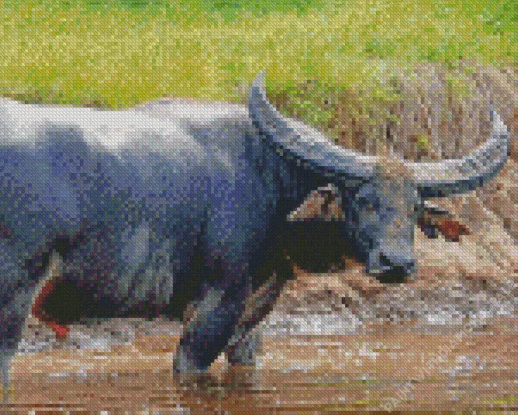 Water Buffalo Diamond By Numbers Water Buffalo Diamond Painting