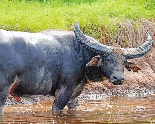 Water Buffalo Diamond Paintings Water Buffalo Diamond Painting