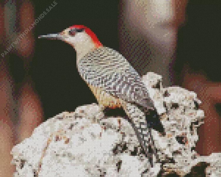 West Indian woodpecker Diamond By Numbers West Indian Woodpecker Diamond Painting