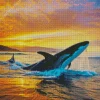 Whale And Sunset Diamond Painting