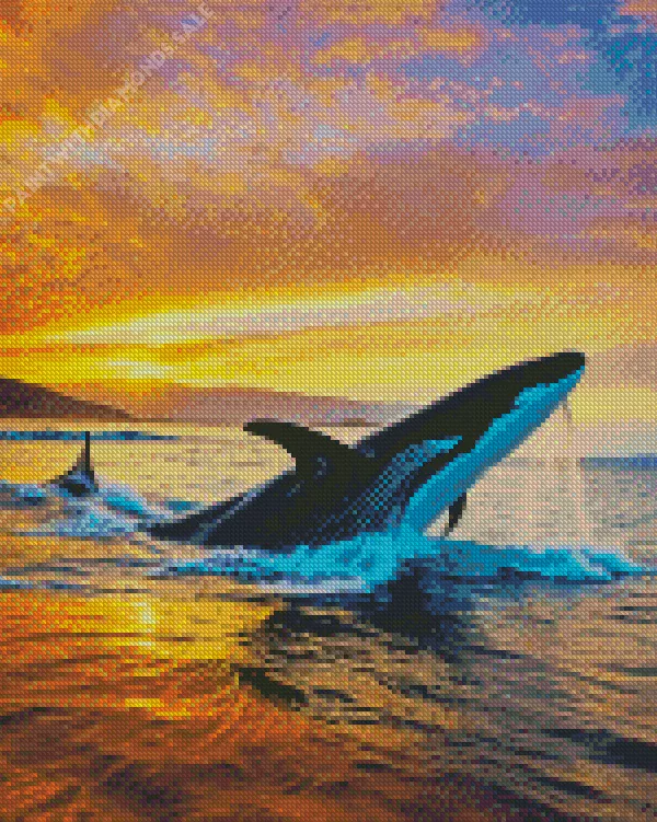 Whale and sunset Diamond Paintings Whale And Sunset Diamond Painting