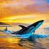 Whale And Sunset Diamond Painting
