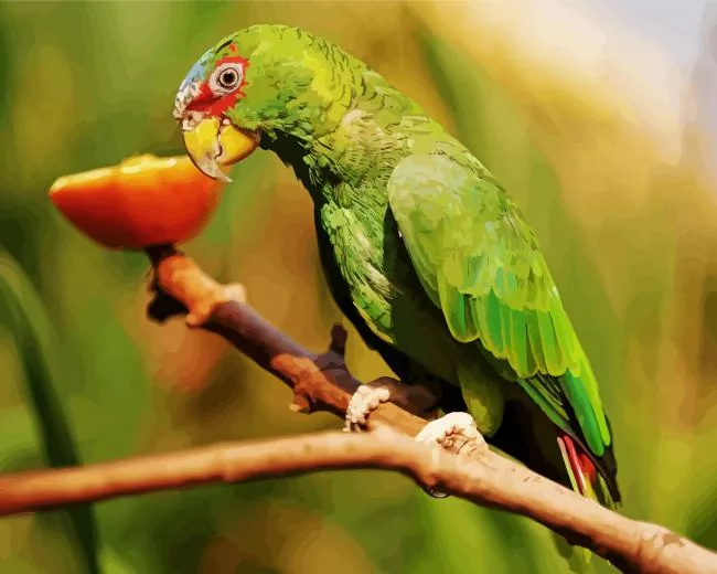 White Fronted Amazon Diamond By Numbers White Fronted Amazon Diamond Painting