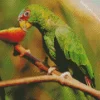 White Fronted Amazon Diamond Painting