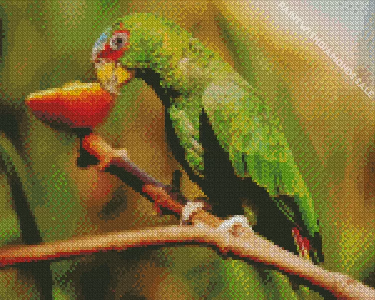 White Fronted Amazon Diamond Dotz White Fronted Amazon Diamond Painting