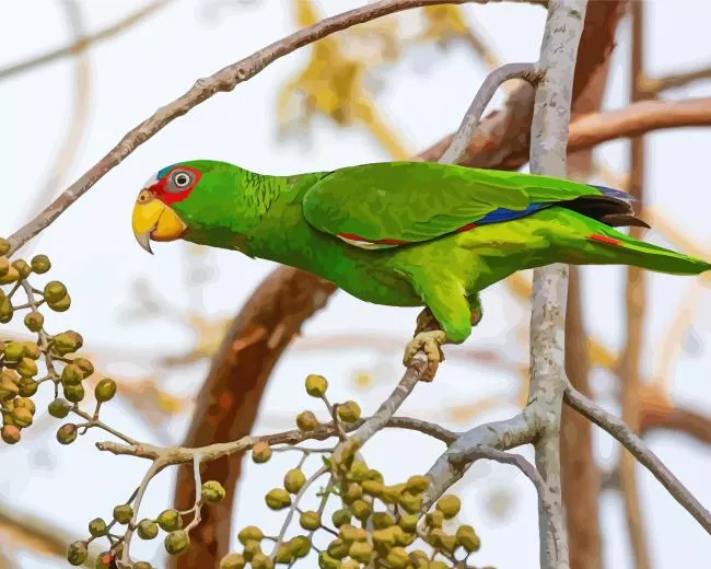 White Fronted Amazon bird Diamond By Numbers White Fronted Amazon Bird Diamond Painting