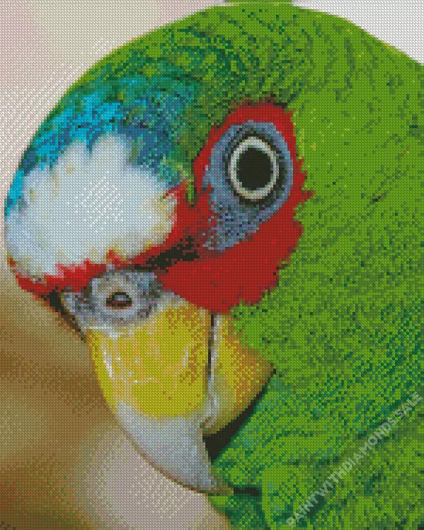White Fronted Amazon head Diamond Dotz White Fronted Amazon Head Diamond Painting