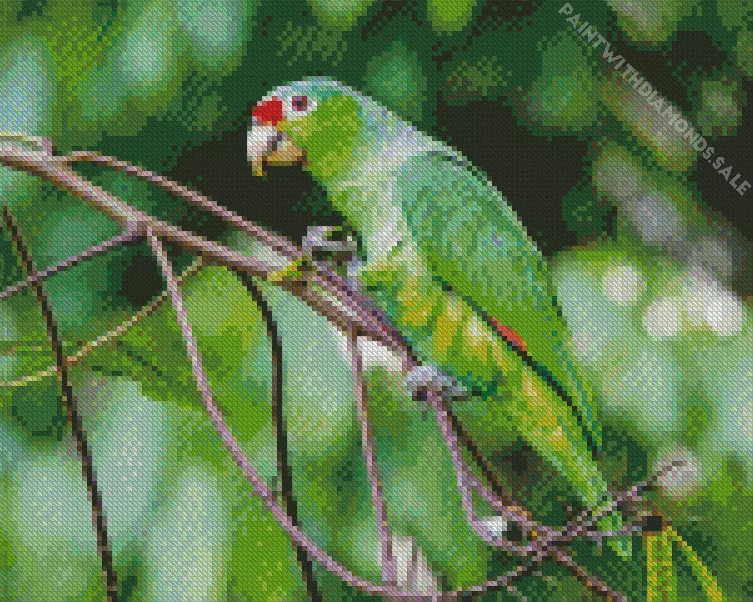 White Fronted Amazon in forest Diamond Dotz White Fronted Amazon In Forest Diamond Painting