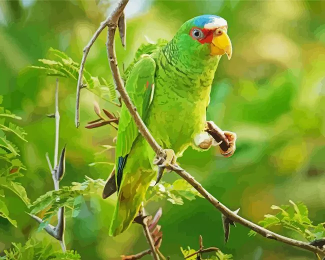 White Fronted Amazon on a branch Diamond By Numbers White Fronted Amazon On A Branch Diamond Painting