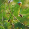 White Fronted Amazon On A Branch Diamond Painting