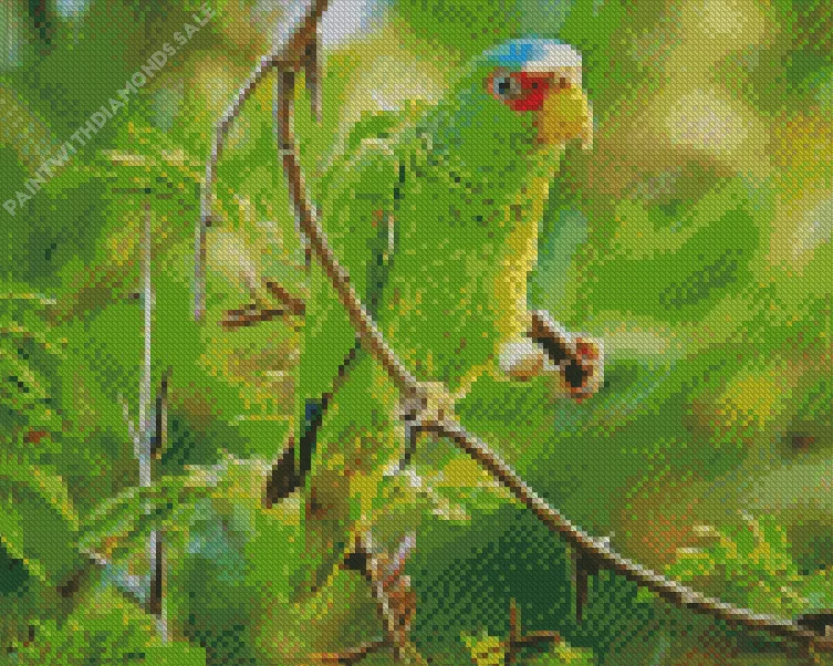 White Fronted Amazon on a branch Diamond Dotz White Fronted Amazon On A Branch Diamond Painting
