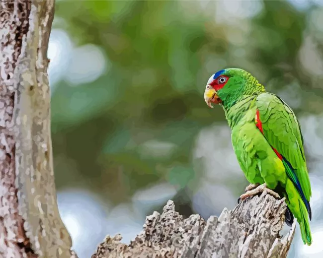 White Fronted Amazon on a tree Diamond By Numbers White Fronted Amazon On A Tree Diamond Painting