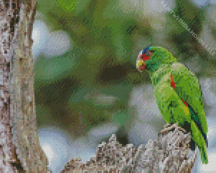 White Fronted Amazon on a tree Diamond Dotz White Fronted Amazon On A Tree Diamond Painting