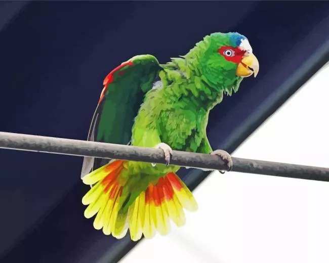 White Fronted Amazon on a wire Diamond By Numbers White Fronted Amazon On A Wire Diamond Painting