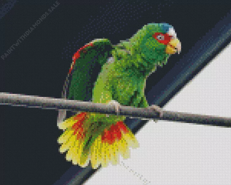 White Fronted Amazon on a wire Diamond Dotz White Fronted Amazon On A Wire Diamond Painting