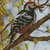 White Backed Woodpecker Diamond Painting