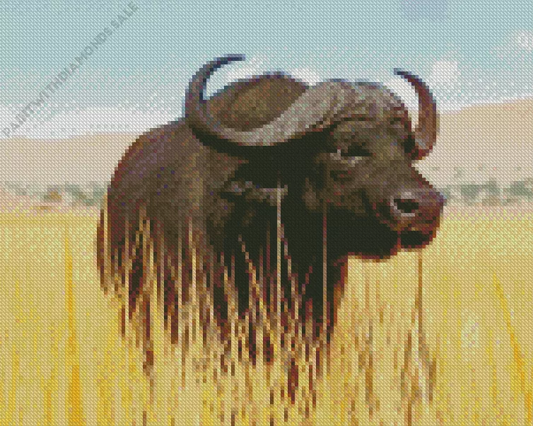 Wild buffalo Diamond By Numbers Wild Buffalo Diamond Painting