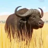 Wild Buffalo Diamond Painting