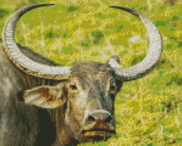 Wild water buffalo Diamond By Numbers Wild Water Buffalo Diamond Painting