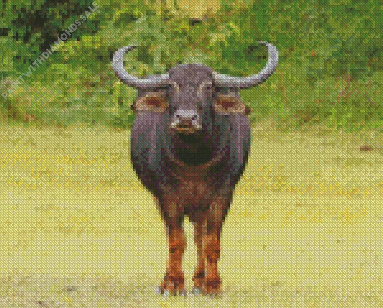 Wild water buffalo in a field Diamond By Numbers Wild Water Buffalo In A Field Diamond Painting