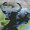Wild Water Buffalo Reflection Diamond Painting