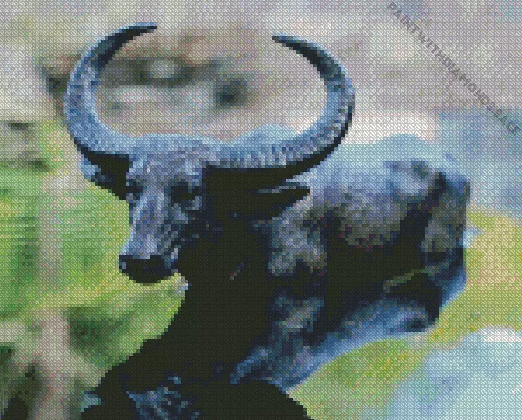 Wild water buffalo reflection Diamond By Numbers Wild Water Buffalo Reflection Diamond Painting