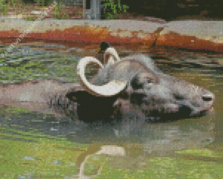 Wild water buffalo swimming Diamond By Numbers Wild Water Buffalo Swimming Diamond Painting