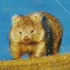 Wombat Diamond Painting