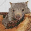 Wombat Art Diamond Painting