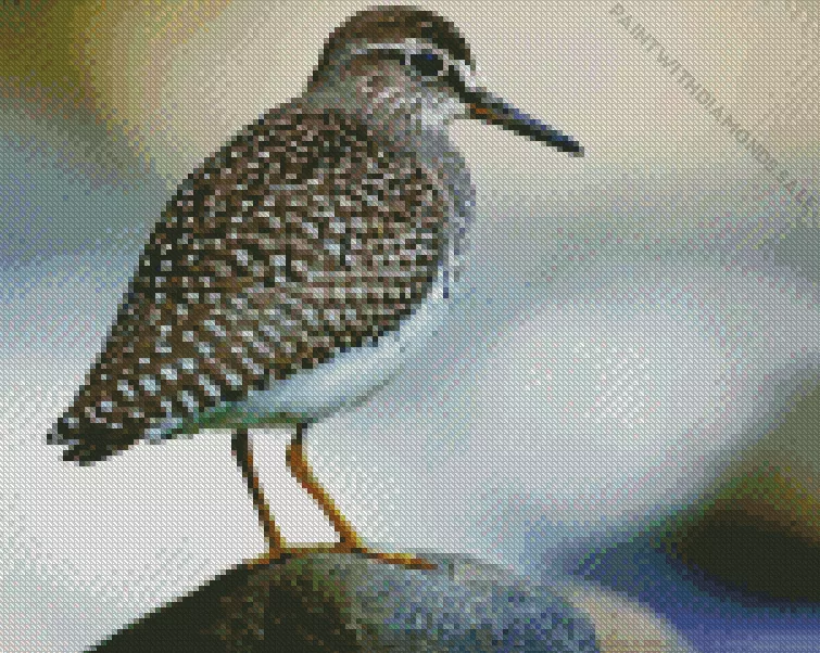 Wood Sandpiper Diamond Dotz Wood Sandpiper Diamond Painting