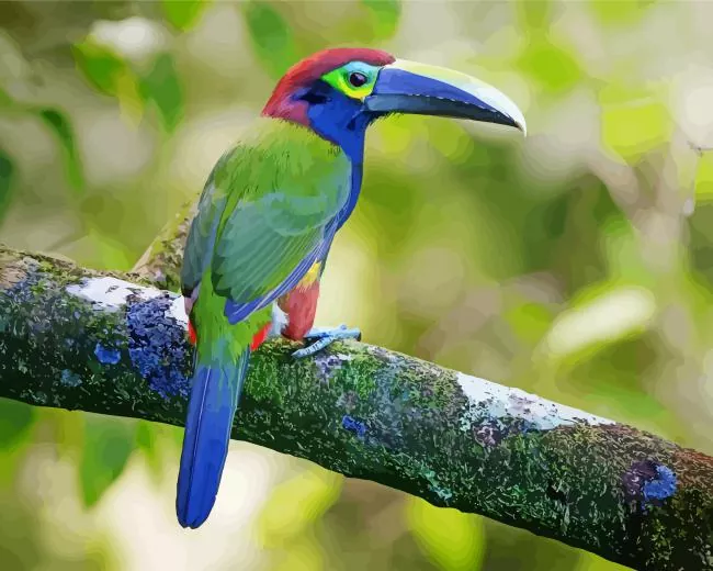 Yellow Eared Toucanet art Diamond By Numbers Yellow Eared Toucanet Art Diamond Painting
