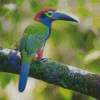 Yellow Eared Toucanet Art Diamond Painting