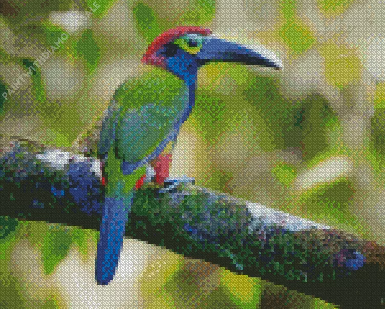 Yellow Eared Toucanet art Diamond Dotz Yellow Eared Toucanet Art Diamond Painting