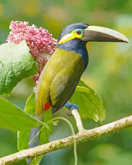 Yellow Eared Toucanet bird Diamond By Numbers Yellow Eared Toucanet Bird Diamond Painting