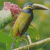Yellow Eared Toucanet Bird Diamond Painting
